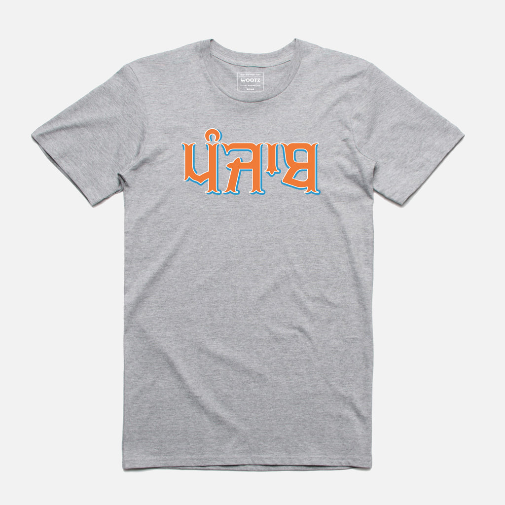 Punjab Tri Colour Text T-Shirt